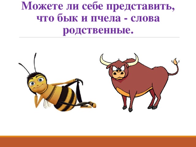 Можете ли себе представить, что бык и пчела - слова родственные. 