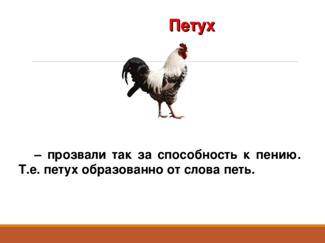 Петух – прозвали так за способность к пению. Т.е. петух образованно от слова петь. 