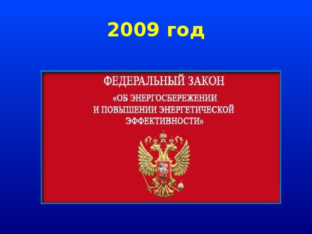 2009 год 