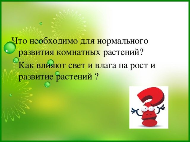 Мы хотим узнать…    Что необходимо для нормального развития комнатных растений?  Как влияют свет и влага на рост и развитие растений ? 