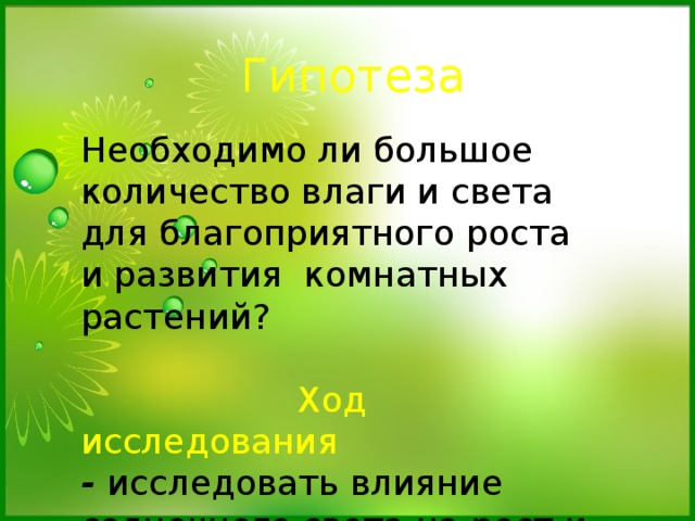 Гипотеза Необходимо ли большое количество влаги и света для благоприятного роста и развития комнатных растений?  Ход исследования - исследовать влияние солнечного света на рост и развитие растений; - выяснить: всегда ли вода – друг. 