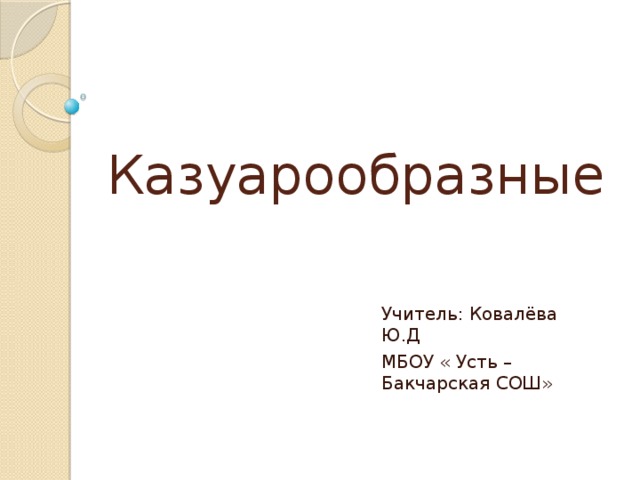 Казуарообразные Учитель: Ковалёва Ю.Д МБОУ « Усть – Бакчарская СОШ» 