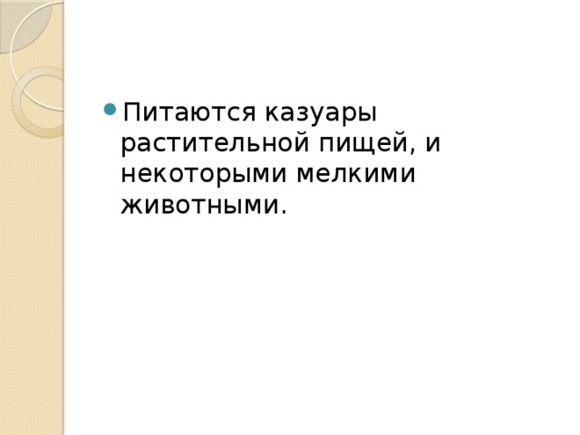 Питаются казуары растительной пищей, и некоторыми мелкими животными. 