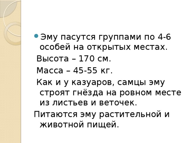 Эму пасутся группами по 4-6 особей на открытых местах.  Высота – 170 см.  Масса – 45-55 кг.  Как и у казуаров, самцы эму строят гнёзда на ровном месте из листьев и веточек. Питаются эму растительной и животной пищей. 