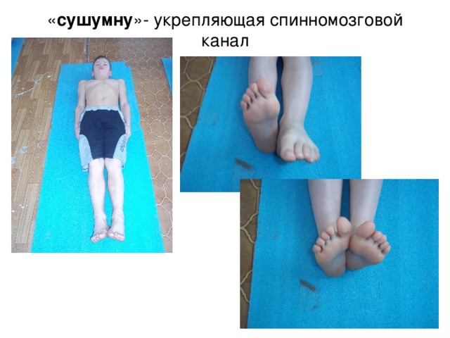 « сушумну »- укрепляющая спинномозговой канал 