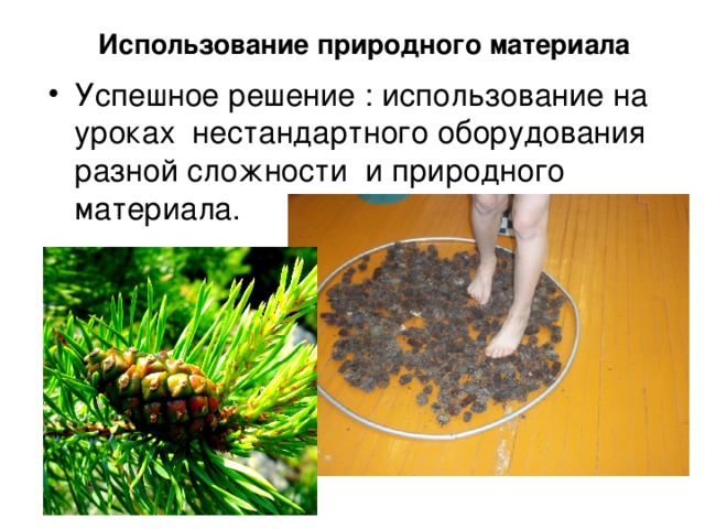 Использование природного материала Успешное решение : использование на уроках нестандартного оборудования разной сложности и природного материала. 