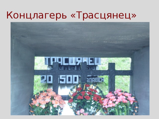 Концлагерь «Трасцянец» 