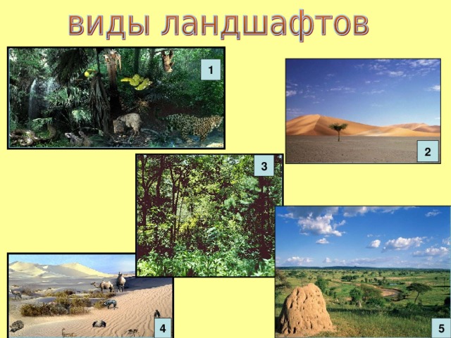 Виды ландшафтов и их примеры