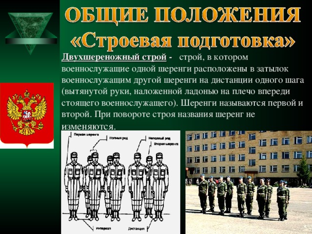 Двухшереножный строй - строй, в котором военнослужащие одной шеренги расположены в затылок военнослужащим другой шеренги на дистанции одного шага (вытянутой руки, наложенной ладонью на плечо впереди стоящего военнослужащего). Шеренги называются первой и второй. При повороте строя названия шеренг не изменяются. 