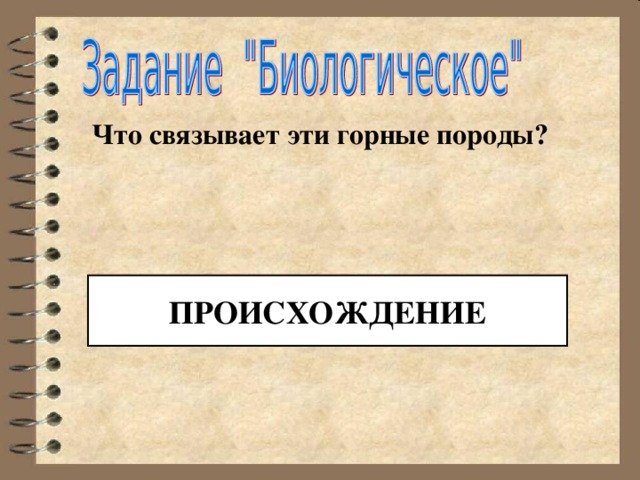 Что связывает эти горные породы?  ПРОИСХОЖДЕНИЕ 