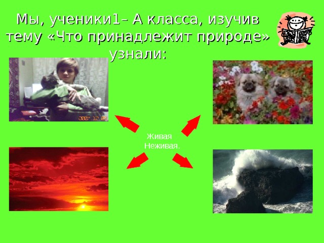 Мы, ученики1– А класса, изучив тему «Что принадлежит природе» узнали:  Живая  Неживая. 