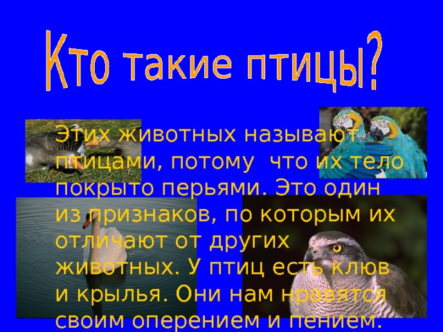 Этих животных называют птицами, потому что их тело покрыто перьями. Это один из признаков, по которым их отличают от других животных. У птиц есть клюв и крылья. Они нам нравятся своим оперением и пением. 