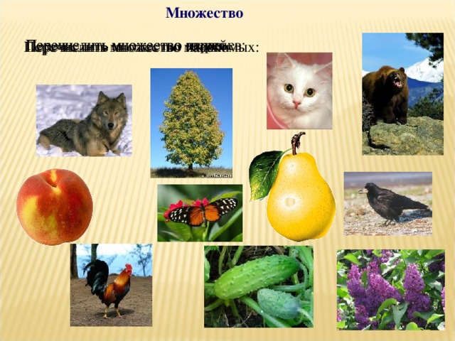 Множество Перечислить множество зверей: Перечислить множество деревьев: Перечислить множество птиц: Перечислить множество насекомых: Перечислить множество машин: 