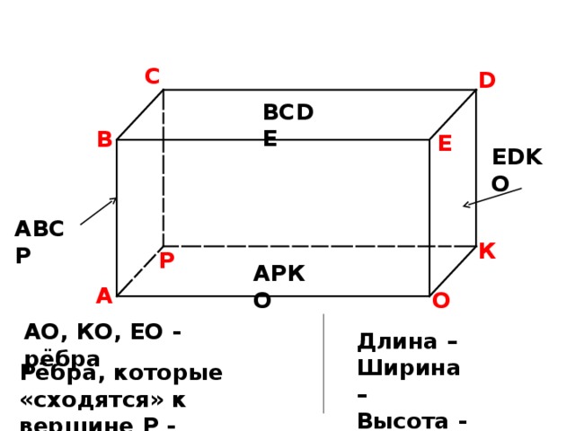 С D ВС DE В E EDKO АВСР К Р АРКО А О АО, КО, ЕО - рёбра Длина – Ширина – Высота - Рёбра, которые «сходятся» к вершине Р - 