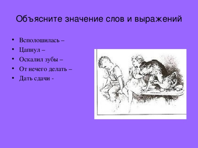 Объясните значение слов и выражений Всполошилась – Цапнул – Оскалил зубы – От нечего делать – Дать сдачи - 