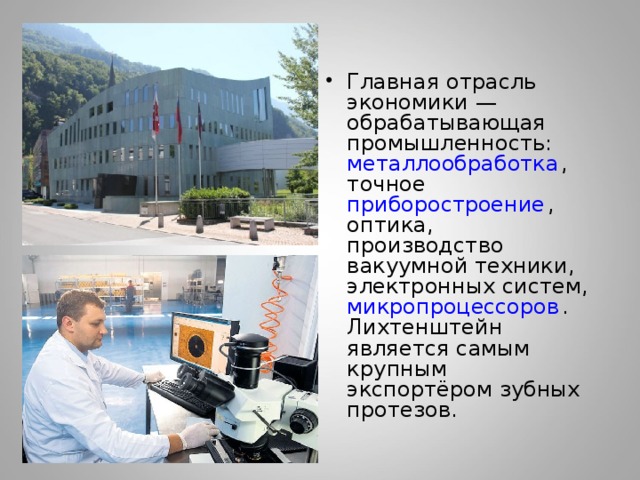 Главная отрасль экономики — обрабатывающая промышленность: металлообработка , точное приборостроение , оптика, производство вакуумной техники, электронных систем, микропроцессоров . Лихтенштейн является самым крупным экспортёром зубных протезов. 