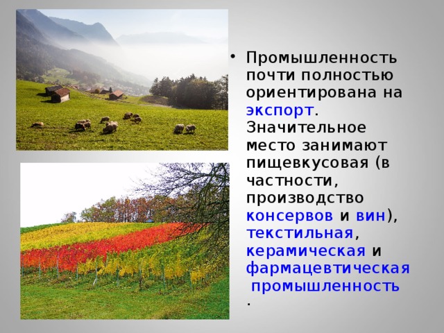 Промышленность почти полностью ориентирована на экспорт . Значительное место занимают пищевкусовая (в частности, производство консервов и вин ), текстильная , керамическая и фармацевтическая промышленность . 