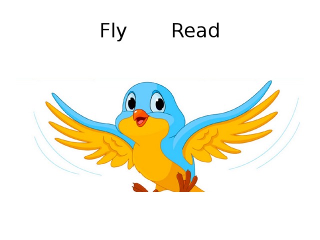 Fly Read 