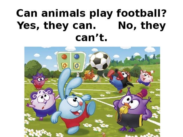 Can animals play football?  Yes, they can. No, they can’t. 