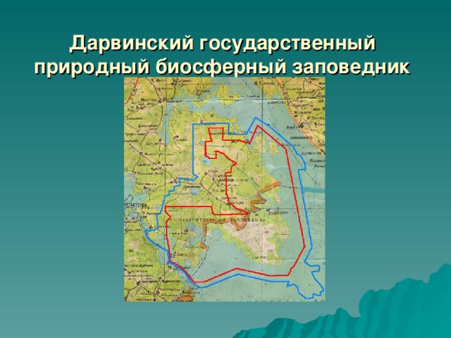 Карта дарвинского заповедника