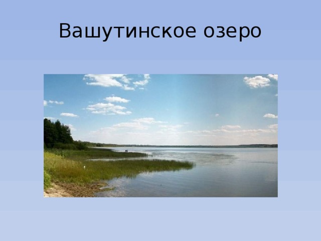 Озеро вашутинское тверская область