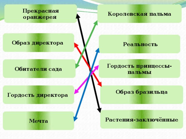 Прекрасная оранжерея Королевская пальма Образ директора  Реальность Обитатели сада Гордость принцессы-пальмы Гордость директора Образ бразильца  Растения-заключённые Мечта 