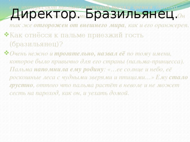 Директор. Бразильянец. Что собой представляет директор оранжереи?  Учёный-ботаник. Всё время сидит в стеклянной будочке , работает с микроскопом. Не терпит беспорядка. Растения его интересуют только с научной точки зрения , другого имени королевской пальмы он не знает, и знать не хочет. Он так же отгорожен от внешнего мира , как и его оранжерея. Как отнёсся к пальме приезжий гость (бразильянец)? Очень нежно и трогательно, назвал её по тому имени, которое было привычно для его страны (пальма-принцесса). Пальма напомнила ему родину : «…ее солнце и небо, её роскошные леса с чудными зверями и птицами…» Ему стало грустно , оттого что пальма растёт в неволе и не может сесть на пароход, как он, и уехать домой. 