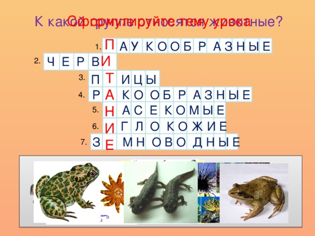 Презентация кто что ест 3 класс