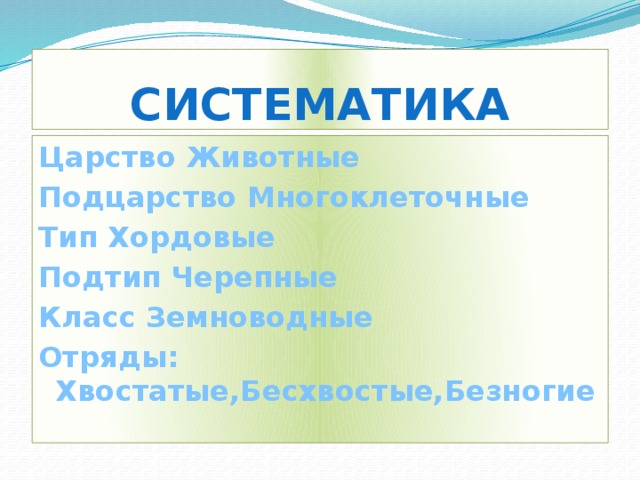 Систематика Царство Животные Подцарство Многоклеточные Тип Хордовые Подтип Черепные Класс Земноводные Отряды: Хвостатые,Бесхвостые,Безногие  