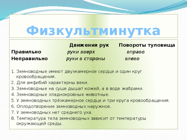 Физкультминутка  Движения рук Повороты туловища Правильно  руки вверх вправо Неправильно  руки в стороны влево  1. Земноводные имеют двухкамерное сердце и один круг кровообращения. 2. Для амфибий характерны веки. 3. Земноводные на суше дышат кожей, а в воде жабрами. 4. Земноводные хладнокровные животные. 5. У земноводных трёхкамерное сердце и три круга кровообращения. 6. Оплодотворение земноводных наружное. 7. У земноводных нет среднего уха. 8. Температура тела земноводных зависит от температуры окружающей среды. 