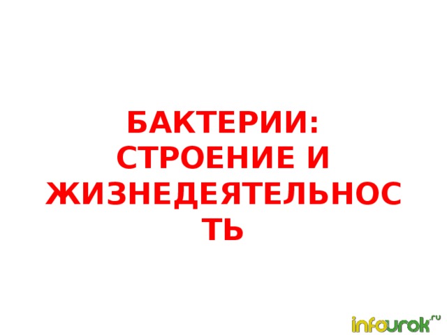 Бактерии: строение и жизнедеятельность   