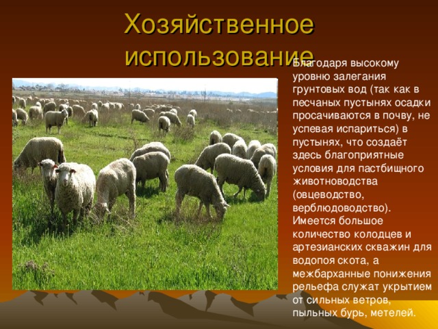Хозяйственное использование Благодаря высокому уровню залегания грунтовых вод (так как в песчаных пустынях осадки просачиваются в почву, не успевая испариться) в пустынях, что создаёт здесь благоприятные условия для пастбищного животноводства (овцеводство, верблюдоводство). Имеется большое количество колодцев и артезианских скважин для водопоя скота, а межбарханные понижения рельефа служат укрытием от сильных ветров, пыльных бурь, метелей. 