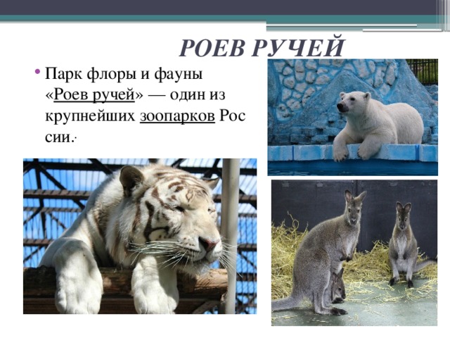  РОЕВ РУЧЕЙ Парк флоры и фауны « Роев ручей » — один из крупнейших  зоопарков  России . . 