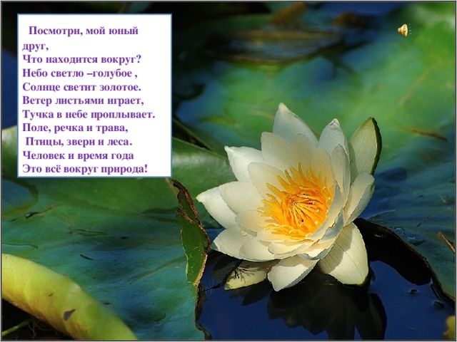  Посмотри, мой юный друг,  Что находится вокруг? Небо светло –голубое ,  Солнце светит золотое. Ветер листьями играет,  Тучка в небе проплывает. Поле, речка и трава,  Птицы, звери и леса. Человек и время года  Это всё вокруг природа! 