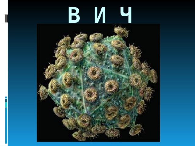  В И Ч 