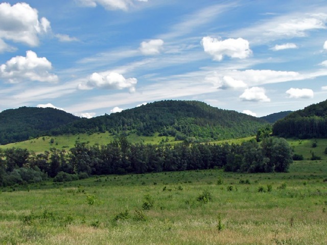 РАВНИНЫ 