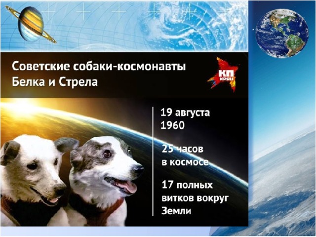 Рабочий слайд. Вариант 2. 