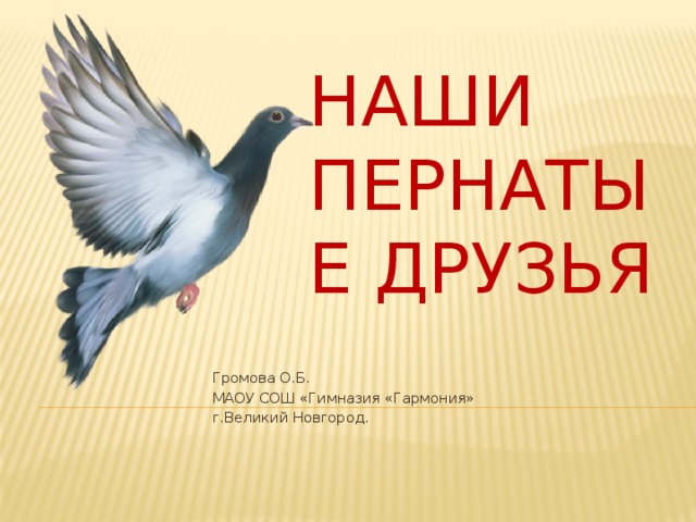 Наши пернатые друзья Громова О.Б. МАОУ СОШ «Гимназия «Гармония» г.Великий Новгород. 