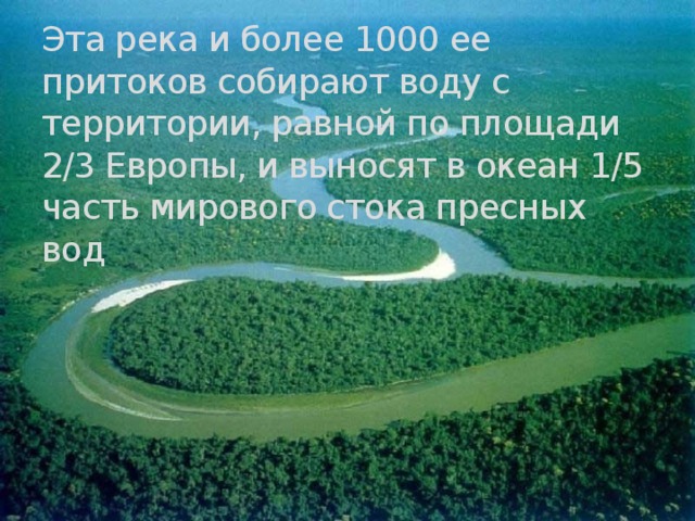Эта река и более 1000 ее притоков собирают воду с территории, равной по площади 2/3 Европы, и выносят в океан 1/5 часть мирового стока пресных вод 