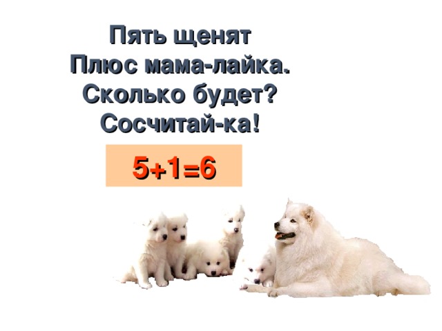 Пять щенят  Плюс мама-лайка.  Сколько будет?  Сосчитай-ка! 5+1=6