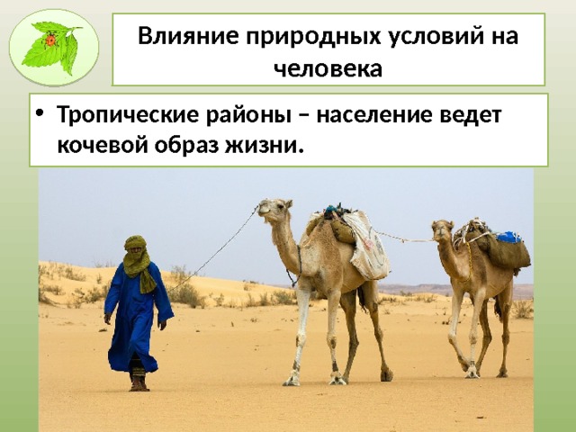 Влияние природных условий на человека Тропические районы – население ведет кочевой образ жизни. 