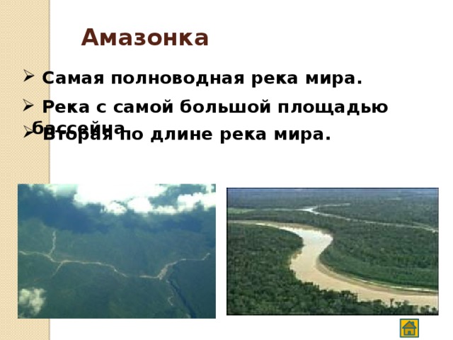 Амазонка В тихих заводях реки произрастает интересное растение – кувшинка виктория-регия. Округлые листья ее имеют диаметр до 2 м, мощные перепонки делают лист очень прочным, способным выдержать вес до 50 кг! 