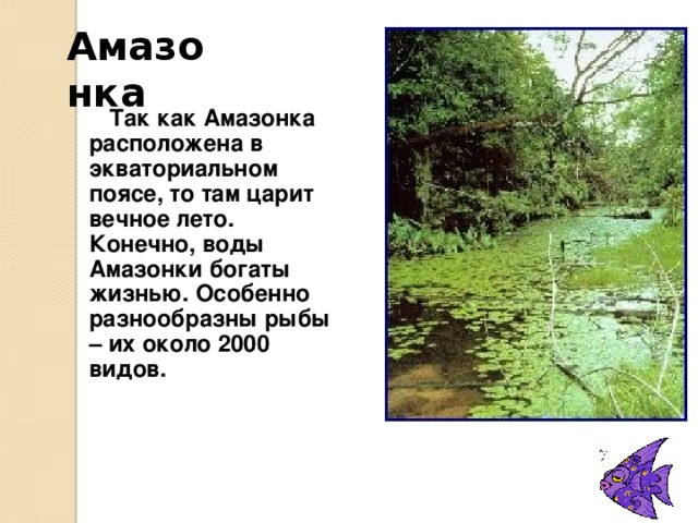 Амазонка Почему река получила такое название?  