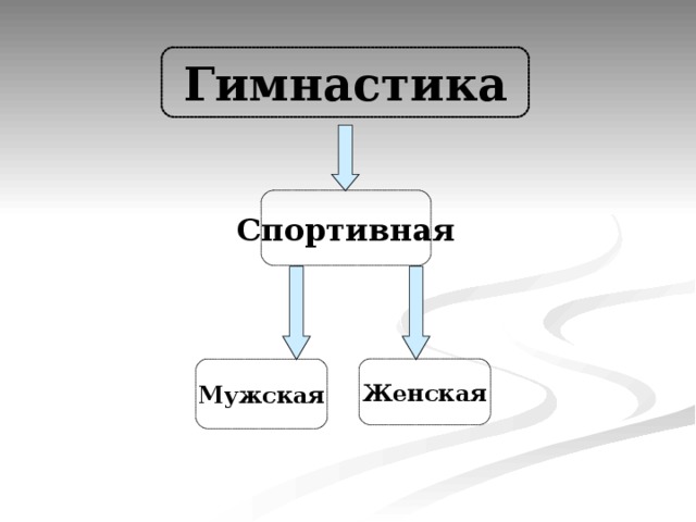 Гимнастика Спортивная Мужская Женская 