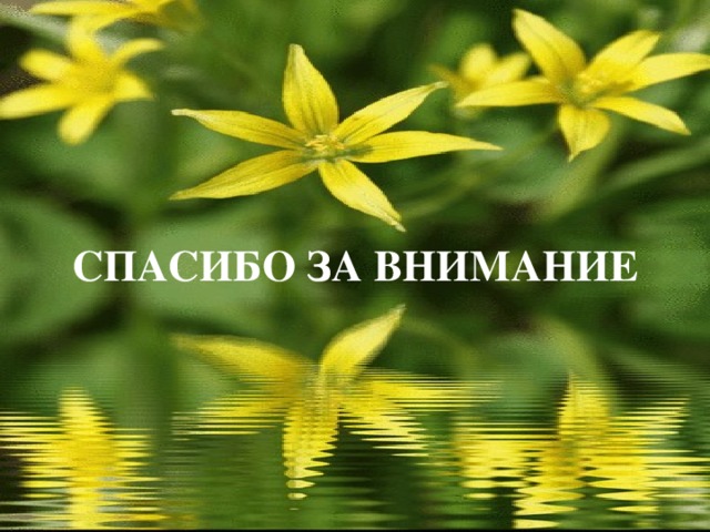 СПАСИБО ЗА ВНИМАНИЕ