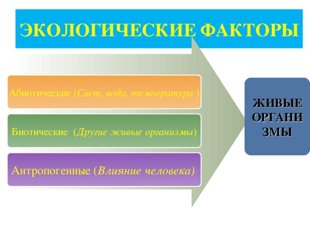 ЭКОЛОГИЧЕСКИЕ ФАКТОРЫ Абиотические ( Свет, вода, температура ) ЖИВЫЕ ОРГАНИЗМЫ Биотические ( Другие живые организмы ) Антропогенные ( Влияние человека)