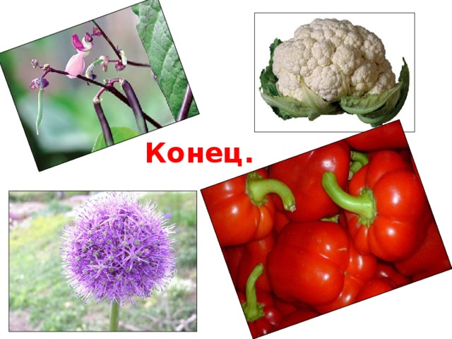 Конец. 