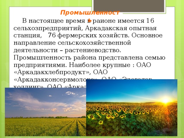 Промышленность  В настоящее время в районе имеется 16 сельхозпредприятий, Аркадакская опытная станция, 76 фермерских хозяйств. Основное направление сельскохозяйственной деятельности – растениеводство. Промышленность района представлена семью предприятиями. Наиболее крупные : ОАО «Аркадакхлебпродукт», ОАО «Аркадакконсервмолоко», ОАО «Элеватор-холдинг», ОАО «Аркадакспирт». 