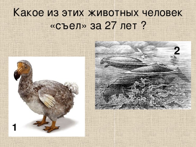 Какое из этих животных человек «съел» за 27 лет ? 2 1