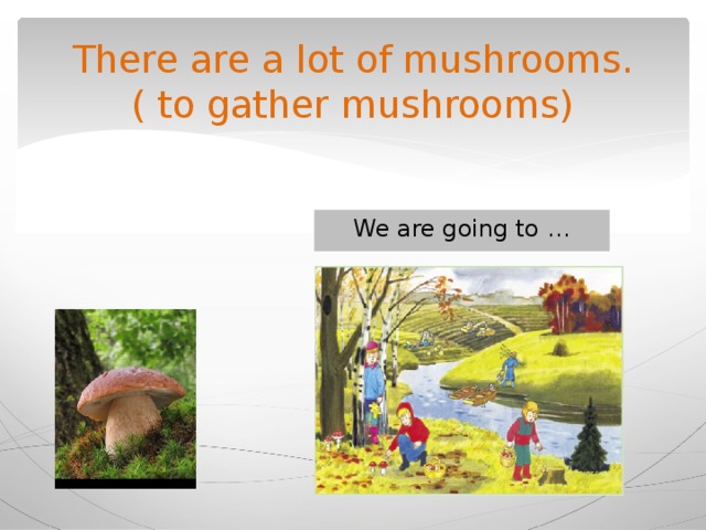 There are a lot of mushrooms.  ( to gather mushrooms) We are going to … 